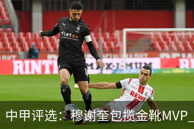 中甲评选：穆谢奎包揽金靴MVP 李金羽最佳教练